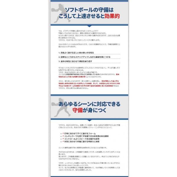 ソフトボール 守備の極意 三科真澄 監修 DVD（Disc1・2 2枚組） 楽天市場】ソフトボール守備の極意DVD【オリンピック金メダリスト三科