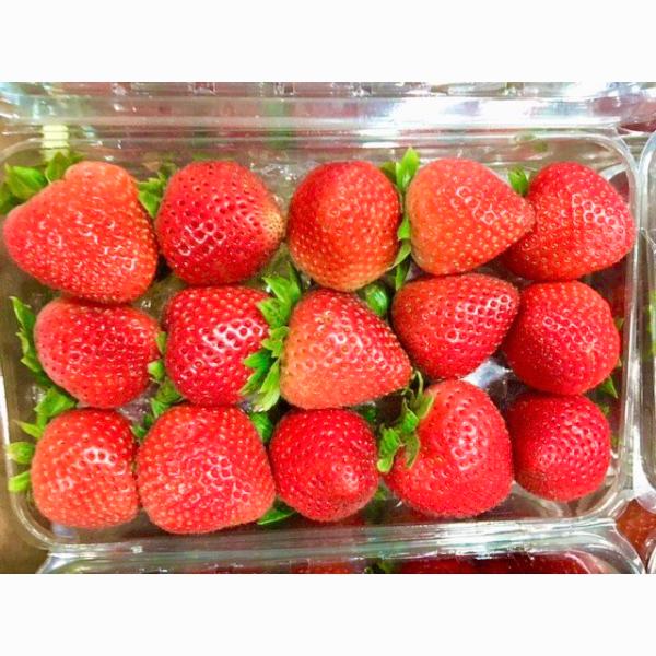 いちご　ストロベリー Amazon.co.jp: 冷凍 ストロベリー 1kg （500g×2P）凍結 いちご