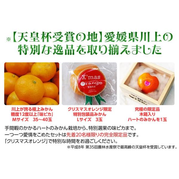 送料無料》愛媛県産『クリスマスオレンジ』1箱（味ピカMサイズ35〜40玉 