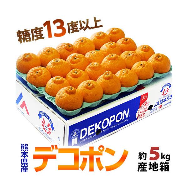 デコポン23kg㉚【熊本県産】 楽天市場】デコポン 熊本の通販