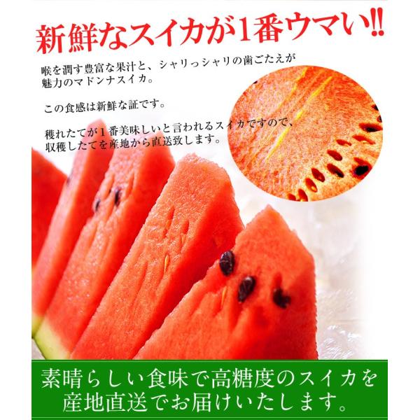 すいか スイカ 西瓜 北海道富良野産『マドンナすいか』 3Lサイズ(7kg