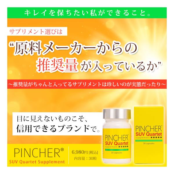 SUV Quartet Supplement PINCHER ピンシャー カルテットサプリメント ...