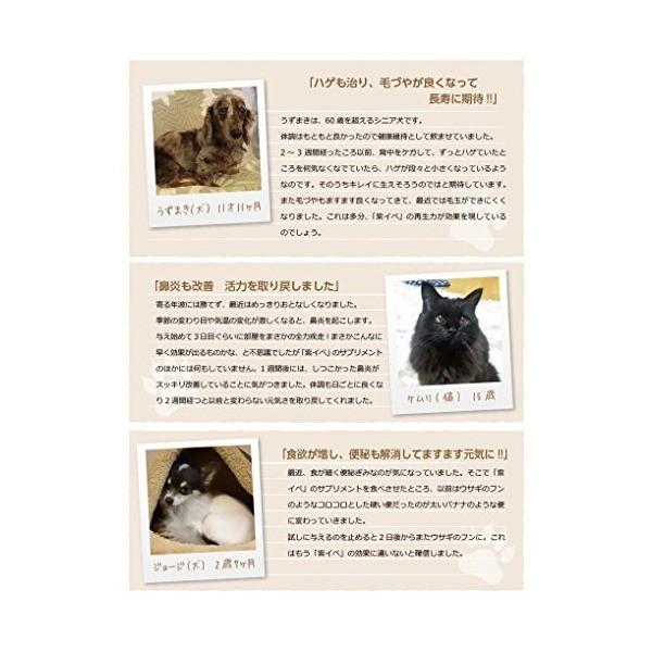 イペゲンキ (紫イペ) 犬猫用 サプリメント 240粒 犬猫が喜ぶ