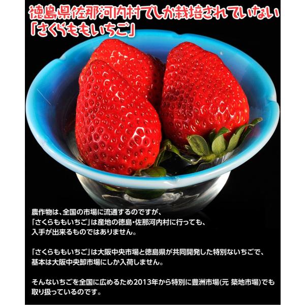 いちご 苺 イチゴ 訳あり さくらももいちご 徳島県佐那河内産 A〜2A