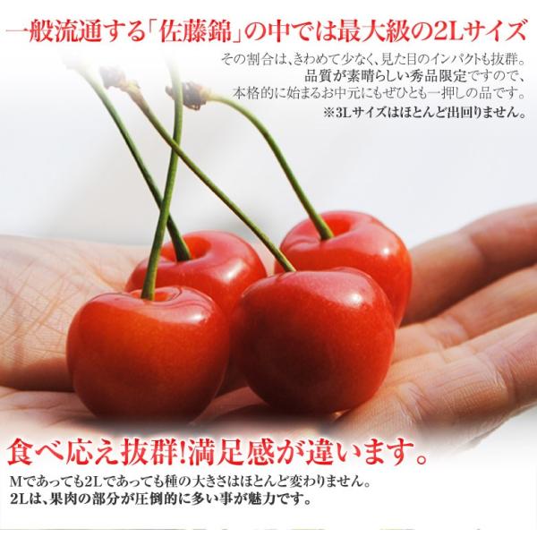 サクランボ 山形さくらんぼ通販】佐藤錦Lサイズアップ1kバラ極上｜送料無料