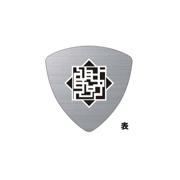 ピック Zodiac Works HOTEI 35th ANNIVERSARY PICK セルロイド 三角