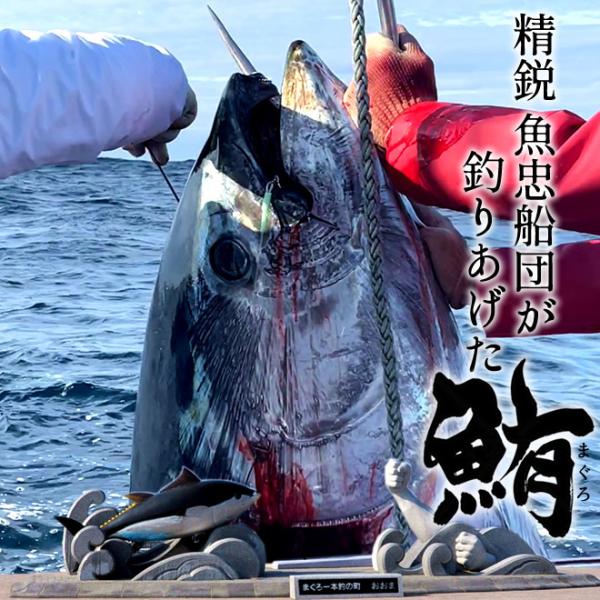 大間のまぐろ 中トロ200g×2柵 マグロ刺身 |青森県大間産 本マグロ サク