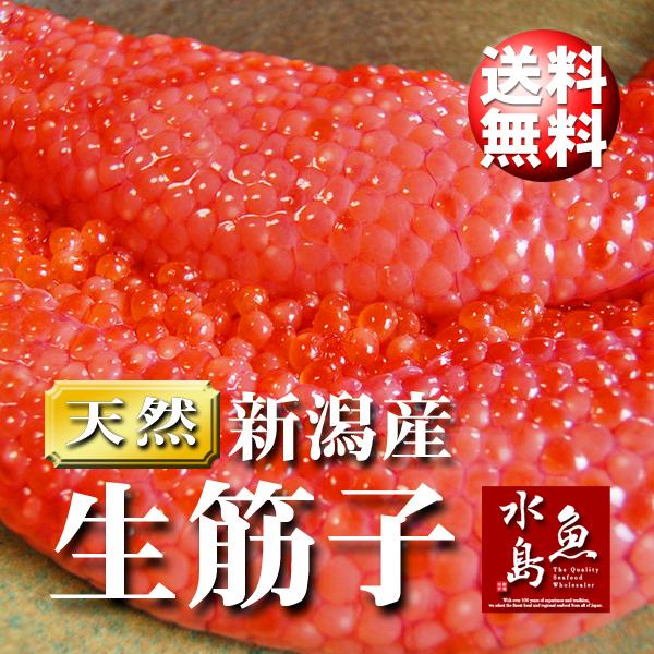 新潟産 生筋子（生いくら）季節限定「ずっしり大粒 生すじこ」 1kg