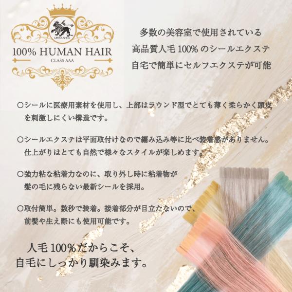 シールエクステ 約27〜30cm 10シート(20〜40本分) 人毛エクステ