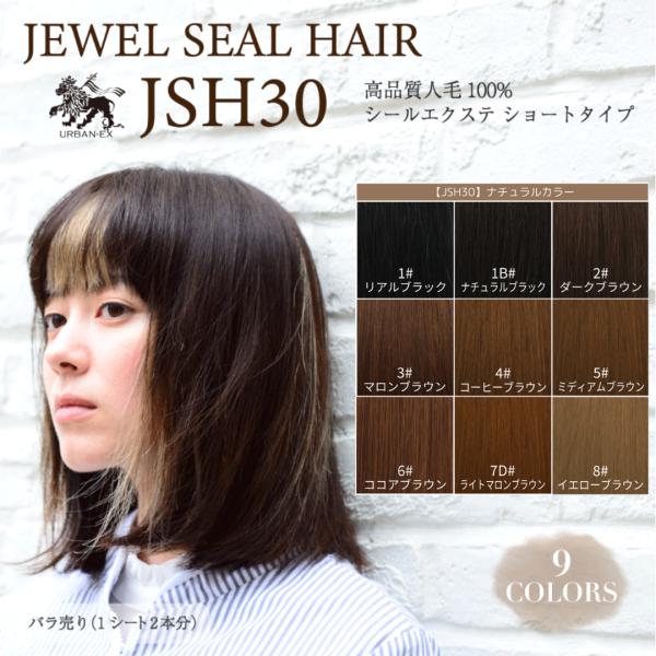 シールエクステ 約27〜30cm 1シート(2〜4本分) 人毛エクステ カラー