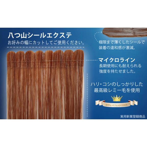 Brightlele 45cm10本分（5シート） 人毛シールエクステ 人毛