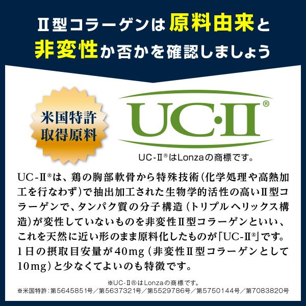 プロテオプラス30粒入り(3袋セット) プロテオグリカン サプリ