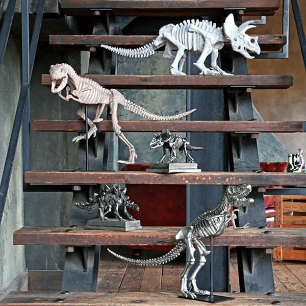 化石　D-3 トリケラトプスの骨の断片の化石（Triceratops） トリケラトプス