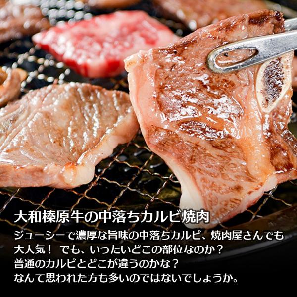 肉 牛肉 焼肉 黒毛和牛 大和榛原牛 A5 中落ち カルビ なかおち