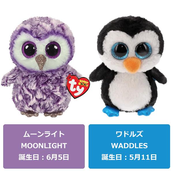 Ty ぬいぐるみ BEANIE BOO'S Mサイズ | ビーニーブーズ Ty 15cm