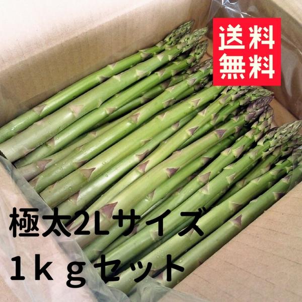 送料無料 朝採り 低農薬 乳牛の堆肥で育てた甘〜いアスパラガス