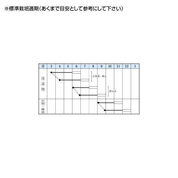 formacionabc.com - ビーツ デトロイト・ダークレッド 1L タキイ種苗