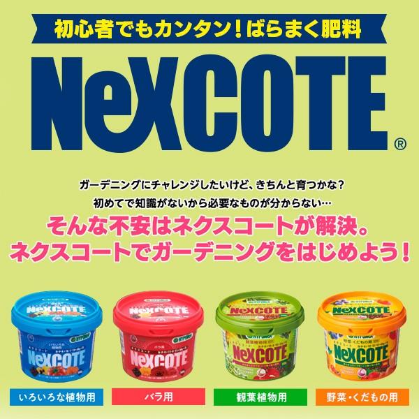 ハイポネックス NeXCOTE（ネクスコート）観葉植物用 500g 園芸用品・肥料 /【Buyee】