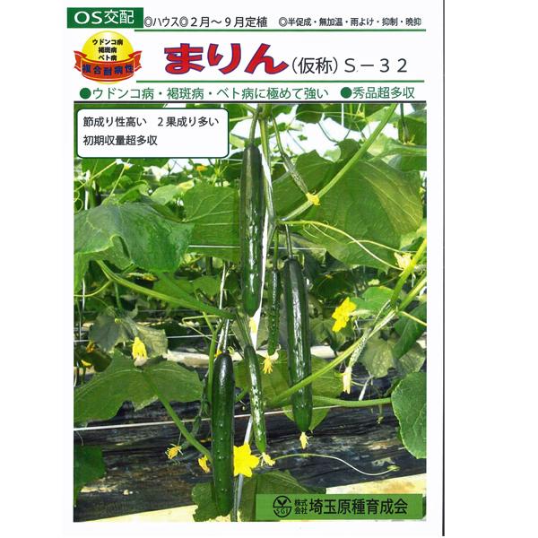 野菜の種/種子まりん(仮称) S-32 350粒キュウリきゅうり（メール便発送