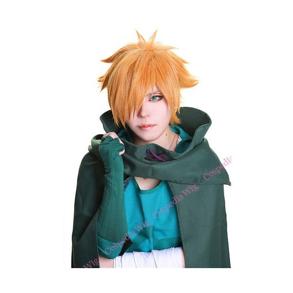 Fate/Grand Order ロビンフッド 風 ウィッグ FGO Fate Grand Order ロビンフッド 風 ウィッグ コスプレウィッグ