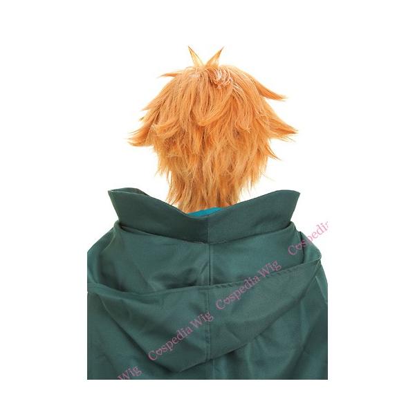Fate/Grand Order ロビンフッド 風 ウィッグ FGO Fate Grand Order ロビンフッド 風 ウィッグ コスプレウィッグ