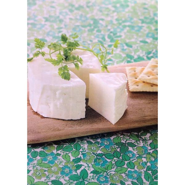 ミナスチーズ 250g チーズ ブラジル 乳製品 焼きチーズ