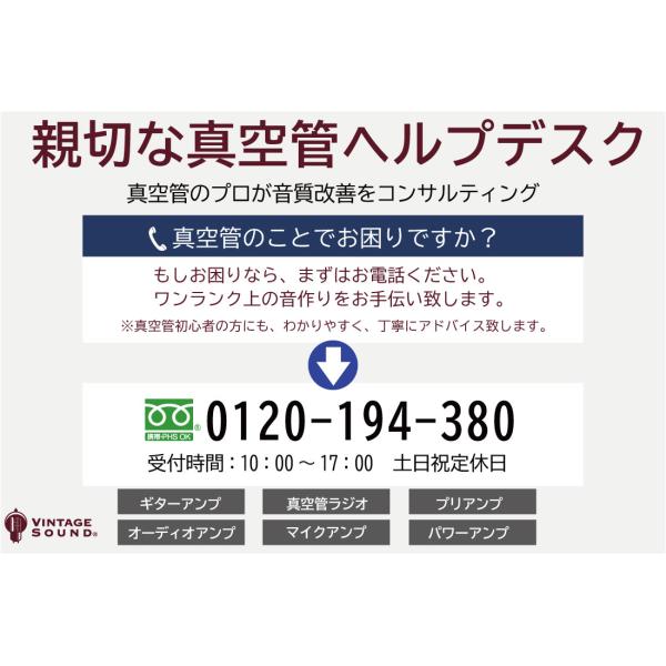 KT88 EH エレハモ 2本マッチ 中パワー 真空管PX22【１年ロング保証】【音質向上72時間EG】【送料無料】 /【Buyee】 Buyee -  Japanese Proxy Service | Buy from Japan!