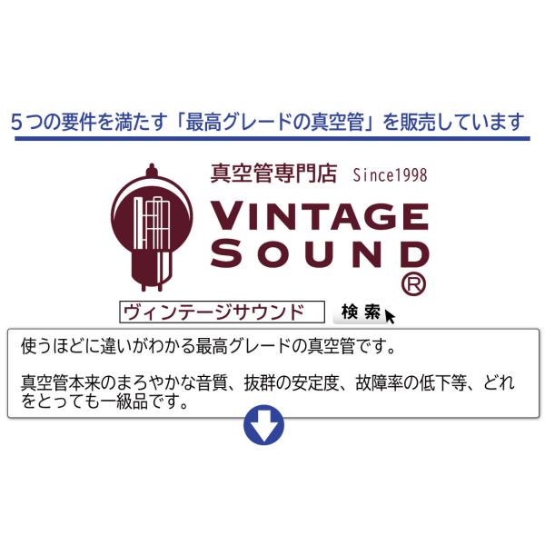 KT88 EH エレハモ 2本マッチ 中パワー 真空管PX22【１年ロング保証】【音質向上72時間EG】【送料無料】 /【Buyee】 Buyee -  Japanese Proxy Service | Buy from Japan!