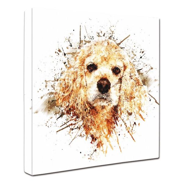 Big Bang -natural-】 アメリカンコッカースパニエル Lサイズ ワン