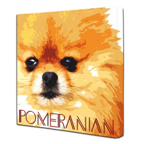 wan-nyan-gallery_wn-imc-pom-m_2