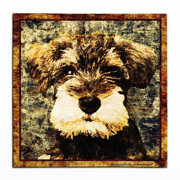 ゆうにゃん 犬 シュナウザーセット 楽天市場】簡易ラッピングでお届け【Faithful Friends