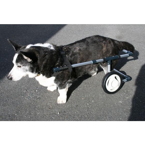 わんワーク犬用2輪歩行器・車椅子中型犬用〜9kg以上/【Buyee】 bot-online