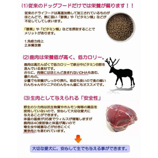 犬 猫 手作りごはん ウエットフード 国産無添加 生鹿肉ミンチ お得用