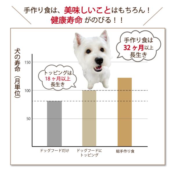 犬 猫 手作りごはん ウエットフード 国産無添加 生鹿肉ミンチ お得用