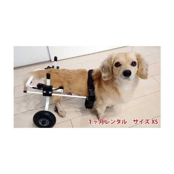 1ヶ月レンタル K9カート犬用車椅子後脚サポート XS・猫(5kg未満  