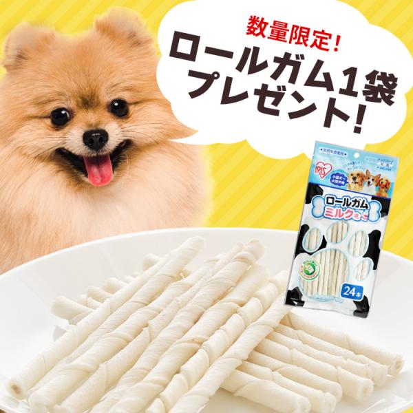 今なら骨ガムおまけ付き選べる！] 犬 ケージ サークル ペットサークル 小型 Mサイズ 犬用 猫 折りたたみ 防災 避難 アウトドア アイリスオーヤマ  POSC-650A /【Buyee】