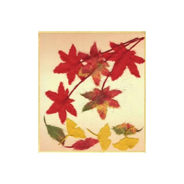 和紙ちぎり絵 紅葉 手作りキット 完成サイズ約13.6×12.1cm /【Buyee