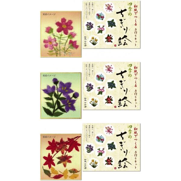 自分で作る和紙ちぎり絵　植物5枚セット 81LkHc5uAeL.jpg