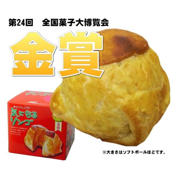 気になるりんご パイ 青森 ラグノオ お土産 1個 /【Buyee
