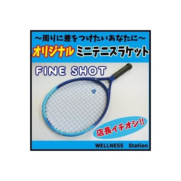 ミニテニスラケット ファインショット(FINE SHOT) F-14 ブルー