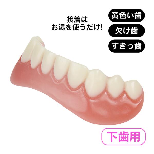 入れ歯 下用 入れ歯 下の歯 下歯用 付け歯 前歯 入れ歯 義歯 歯の悩み 脱着