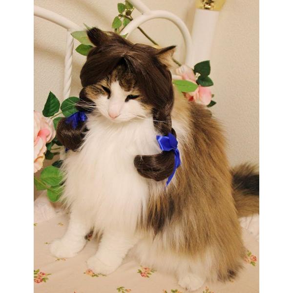 ねこ　ウィッグご確認ページ 注目商品 オリジナル 動物用 犬 猫 ペットウィッグ かつら