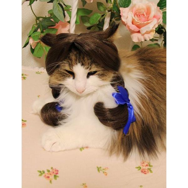 注目商品 オリジナル 動物用 犬 猫 ペットウィッグ かつら