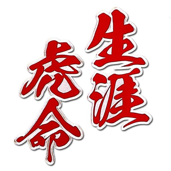 書道アート 『虎』 寅年生まれ、阪神タイガースファン向け！？訳あり Amazon | 【プロ野球 阪神タイガースグッズ】「虎」一文字