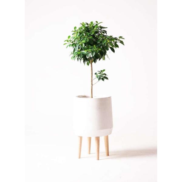 鉢カバー FiberCray ファイバークレイ 7号鉢用 white 白 観葉植物