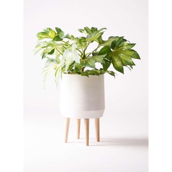 鉢カバー FiberCray ファイバークレイ 7号鉢用 white 白 観葉植物