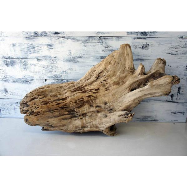 インテリア 流木 おしゃれ 雑貨 オブジェ 置物 観葉植物