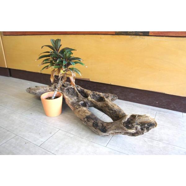 インテリア オブジェ 流木 おしゃれ 観葉植物 DIY ディスプレイ 