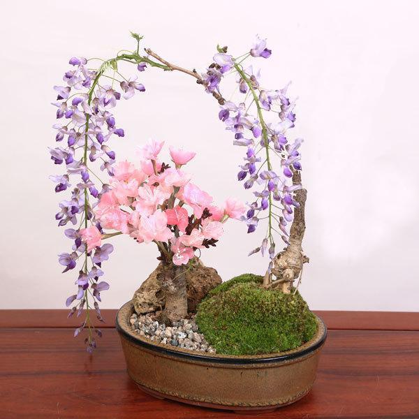 遅れてごめんね父の日ギフト2025にも 盆栽：桜・藤寄せ植え*陶器