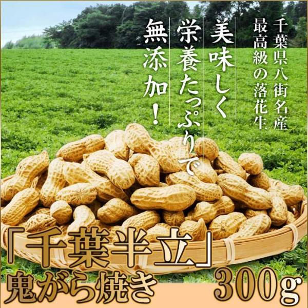 国産落花生ギフト千葉県産千葉半立鬼がら焼き300g 無添加八街ピーナツ
